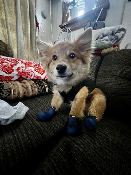 Akuma