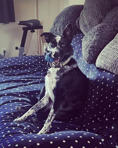 Kade