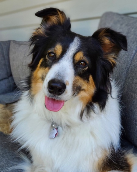 Zoey