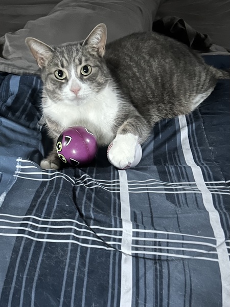 Charlie
