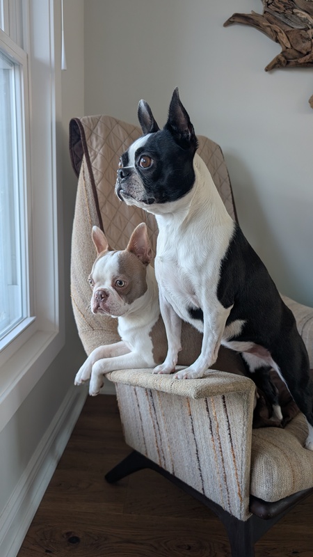 Finley and Maize