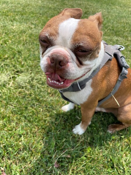 Toby 