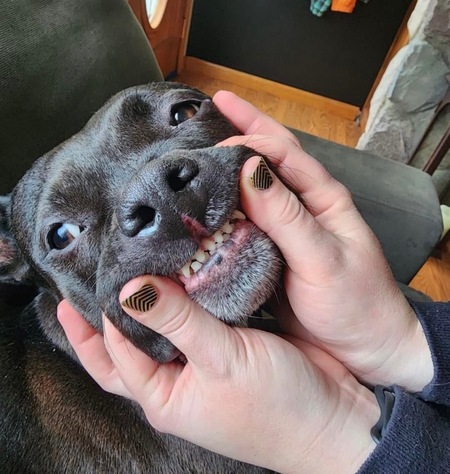 Koda B 