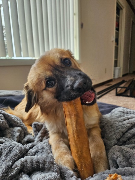 Winnie