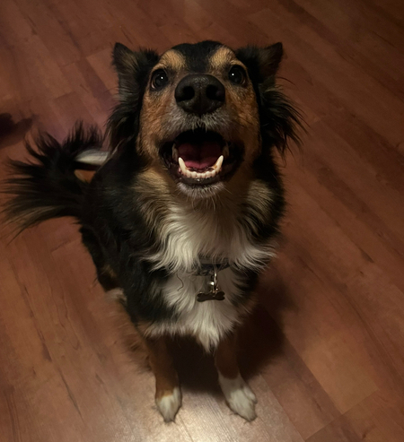 Renji 