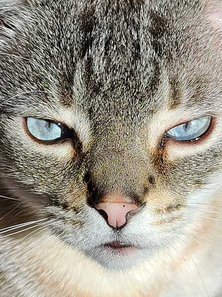 Jerome