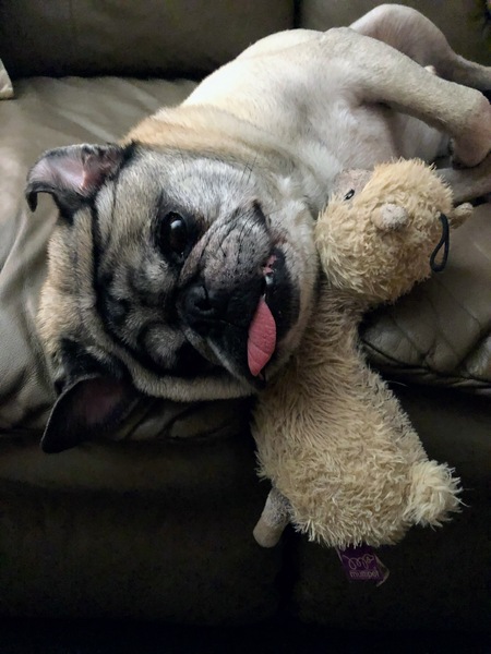 Louie