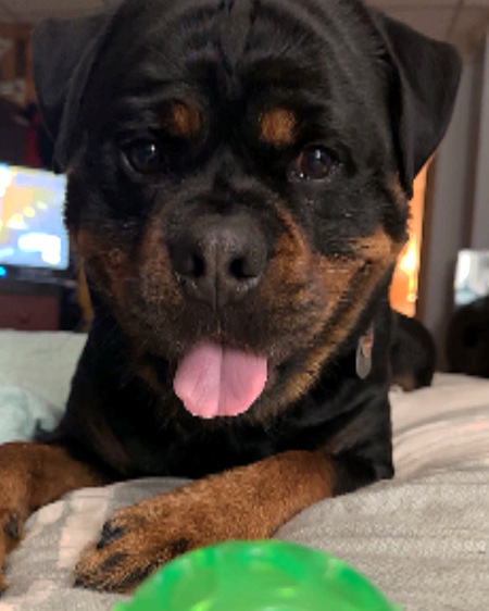 Ruger