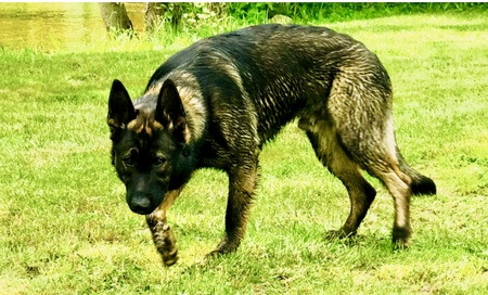 Jäger