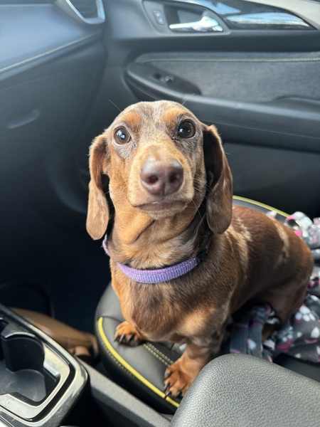 Janie