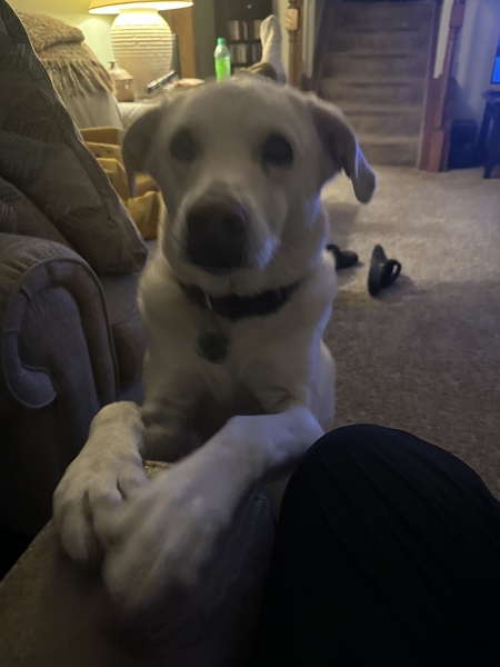 Bella