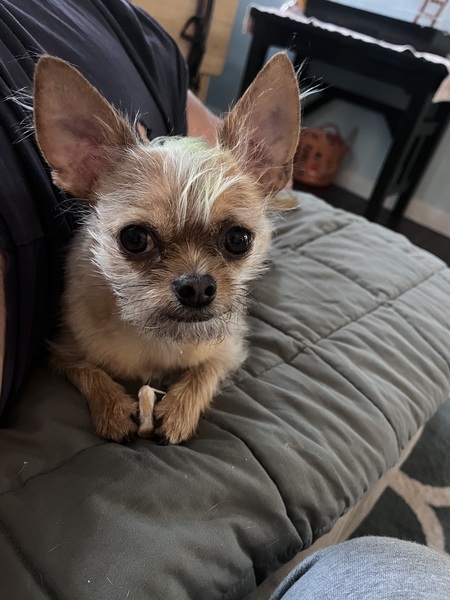 Paco 