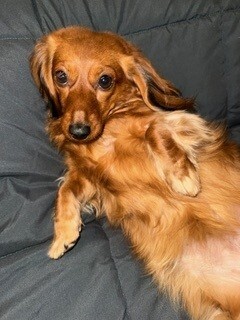 Ellie