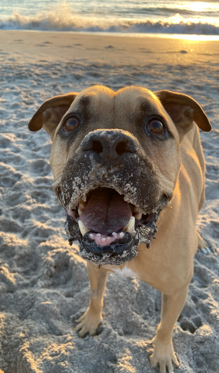 Buster