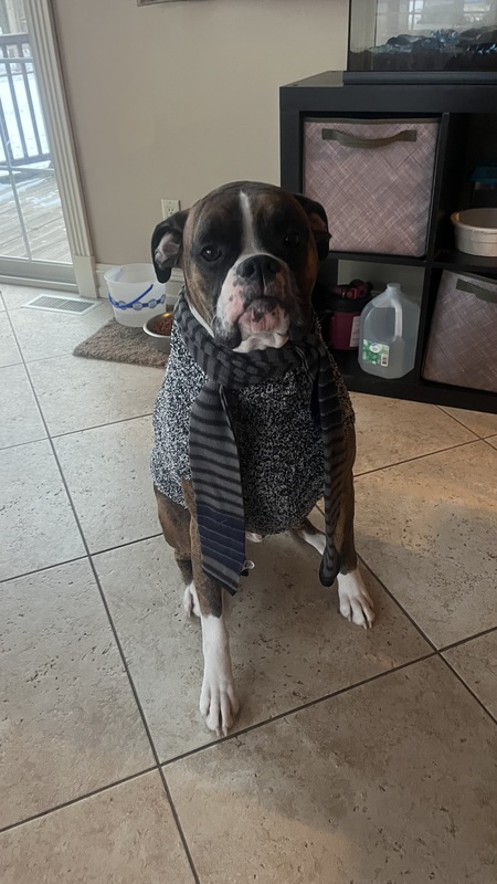 Zeke