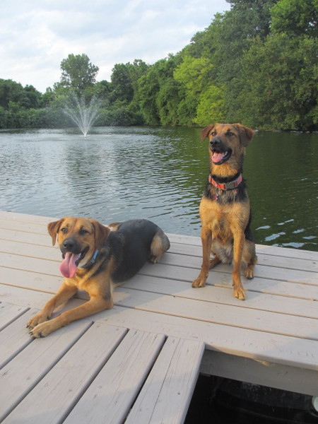 Riley & Jolene (Jo)
