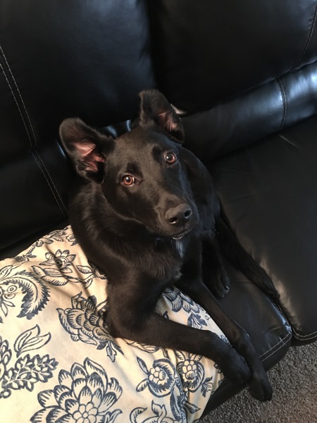 Jax