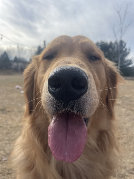 Rudy