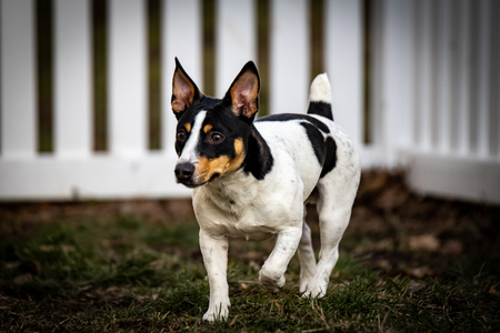 Buster