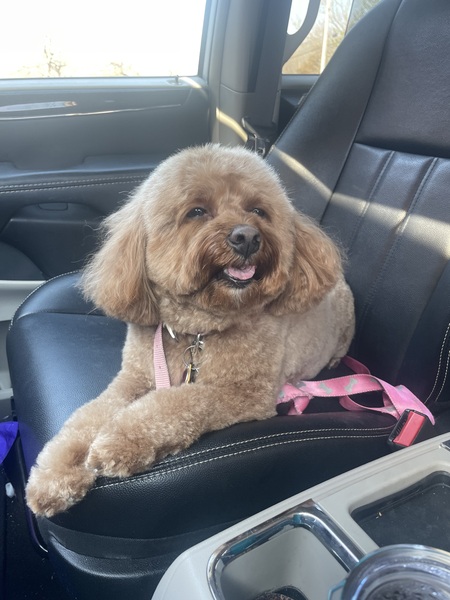 Lola