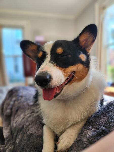 Sheila AKA She-She Marie