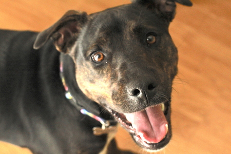 Reggie S (5)