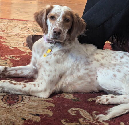 Molly