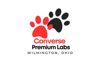 Converse Premium Labs