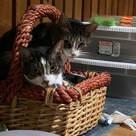 Harry and Charlie