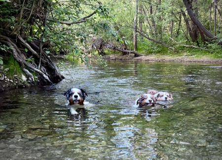 Lokai, Wyatt, Josie