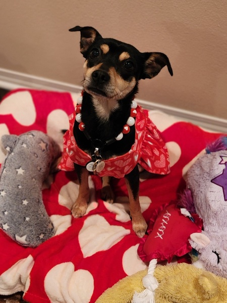 Roxie