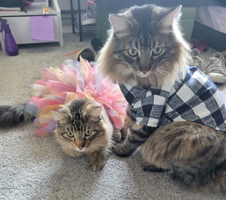 Calypso and Hercules 