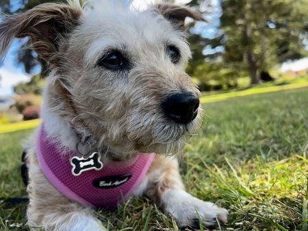 Molly
