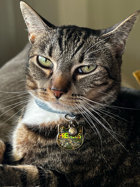 Precious