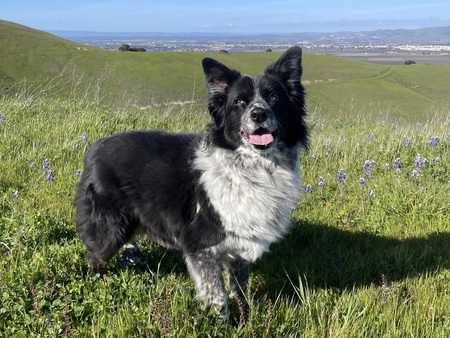 Missy