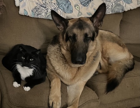 Opie & Teddy