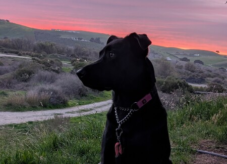 Winnie