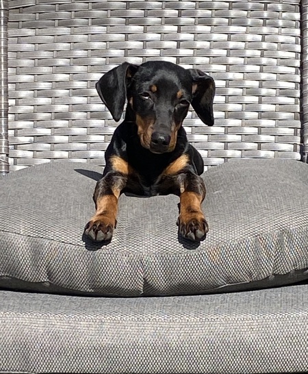 Coco