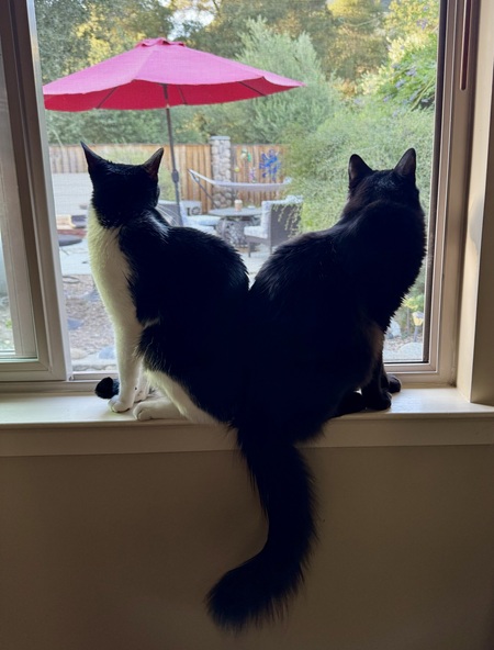 Belle and Mickey 
