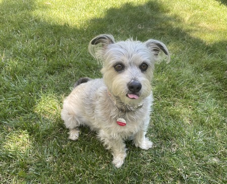 Betty