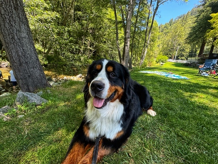 Murphy