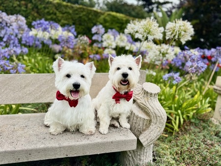 Deke & MacDuff