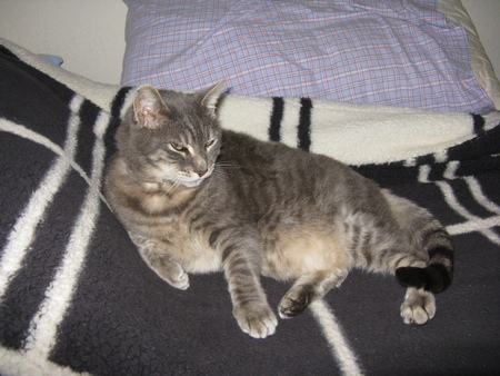 Mercury