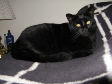 Licorice
