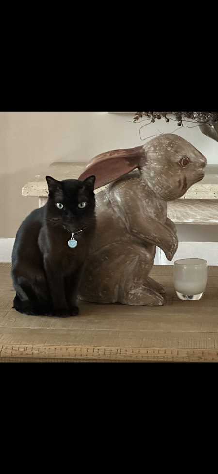 Max