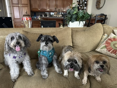 Billy, Angel, Sansa & Arya