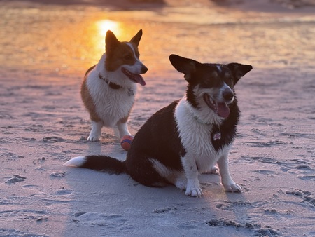 Buttercup and Westley