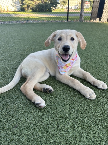 Winnie 