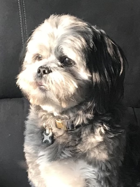 Milo