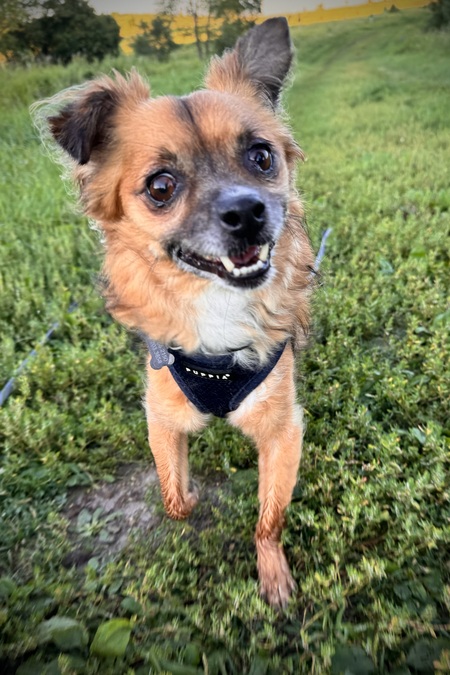 Tito